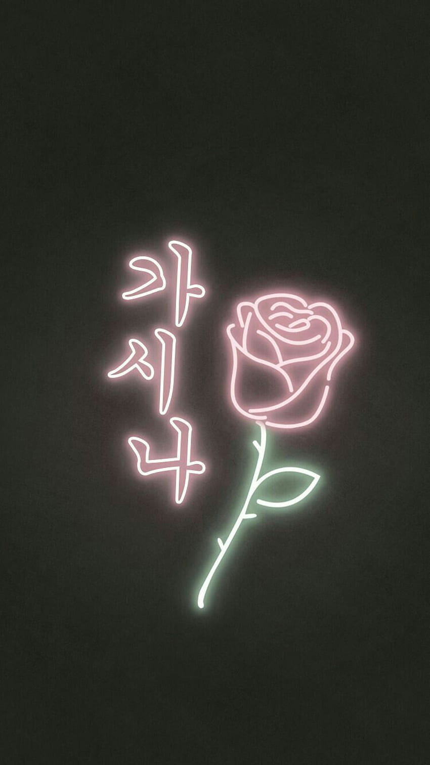 ¡ Pastel soft grunge aesthetic â¡ â¹â» rose in 2019 HD phone wallpaper